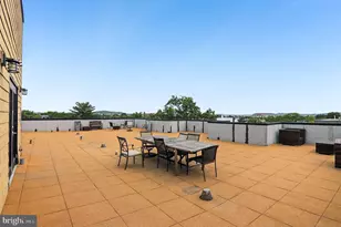 245 15th SE, Washington, DC 20003 - Photo 19