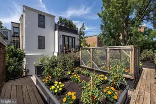1619 19th St NW, Washington, DC 20009 - Photo 51