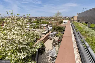 810 O St NW, Washington, DC 20001 - Photo 3