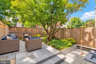 449 Luray Pl NW, Washington, DC 20010 - Photo 15