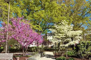 1245 4th St SW, Washington, DC 20024 - Photo 35