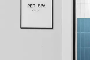37 L St SE, Washington, DC 20003 - Photo 35