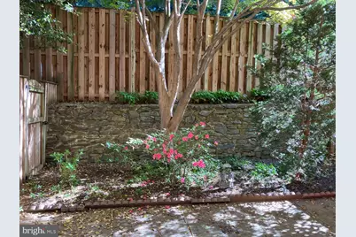3616 Winfield Lane NW, Washington, DC 20007 - Photo 5