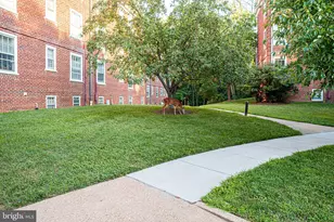 3824 Porter St NW, Washington, DC 20016 - Photo 39