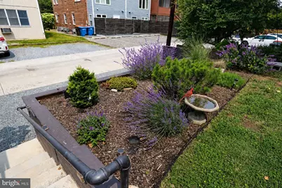 2228 40th Street NW #3, Washington, DC 20007 - Photo 23