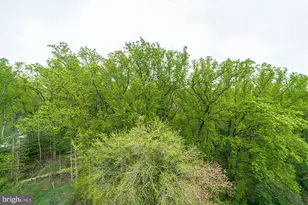 4200 NW Cathedral Ave NW, Washington, DC 20016 - Photo 63