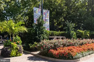 2501 Calvert St NW, Washington, DC 20008 - Photo 35