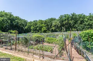 2634 39th St NW, Washington, DC 20007 - Photo 23