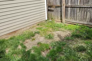 1418 Longfellow St NW, Washington, DC 20011 - Photo 17