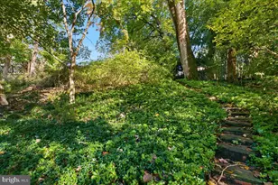 2339 49th St NW, Washington, DC 20007 - Photo 21