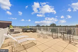 2501 Calvert St NW, Washington, DC 20008 - Photo 15