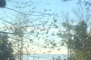 36 Bay Reach, Rehoboth Beach, DE 19971 - Photo 5