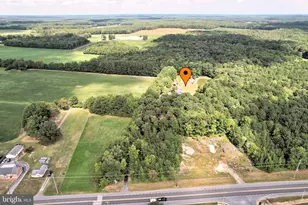 22495 Lewes Georgetown Hwy, Georgetown, DE 19947 - Photo 7