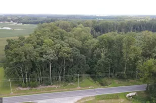 18 271 Ac Tract 5 Shortly Rd, Georgetown, DE 19947 - Photo 1