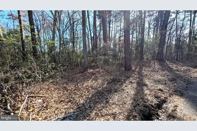 1 Woodland Drive, Seaford, DE 19973 - Photo 3