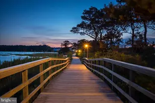 38926 Blue Indigo Rd, Selbyville, DE 19975 - Photo 113