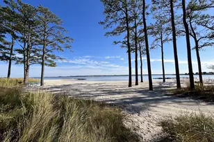 28144 Sloop Ave, Long Neck, DE 19966 - Photo 31