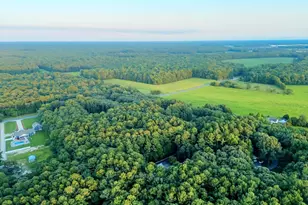 22095 Wilson Rd, Georgetown, DE 19947 - Photo 135