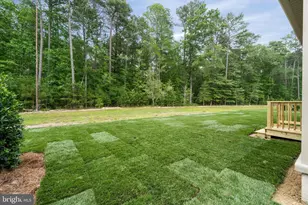 22656 Terri Ln Lot 129, Lewes, DE 19958 - Photo 3