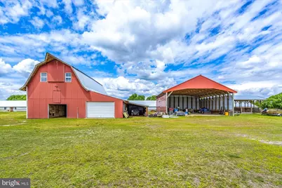 8807 Woodland Ferry Road, Laurel, DE 19956 - Photo 87