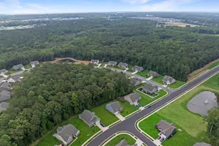 20456 Ragtop Xing, Harbeson, DE 19951 - Photo 77