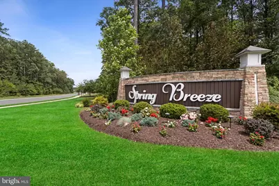 20456 Ragtop Crossing, Harbeson, DE 19951 - Photo 53