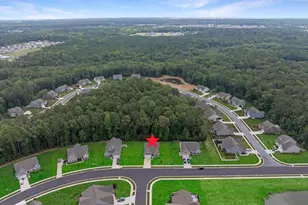 20456 Ragtop Xing, Harbeson, DE 19951 - Photo 75