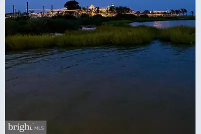 34805 Rowlock Place #50349, Millsboro, DE 19966 - Photo 59