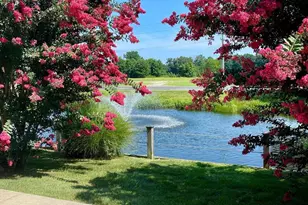 25839 Teal Court, Millsboro, DE 19966 - Photo 27