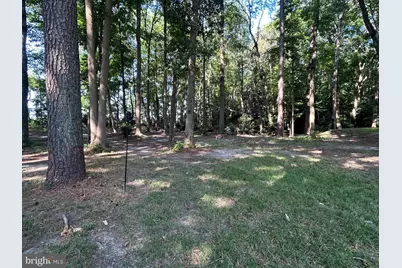27002 Kaye Road, Laurel, DE 19956 - Photo 55