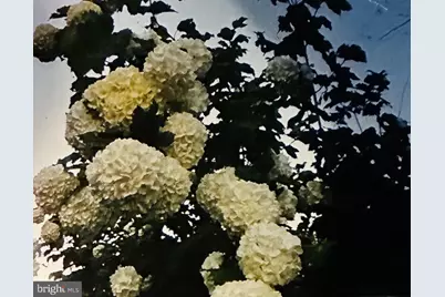 728 Woolford Street, Seaford, DE 19973 - Photo 21