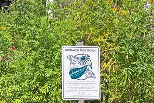 33280 Sassafras Ct, Ocean View, DE 19970 - Photo 43