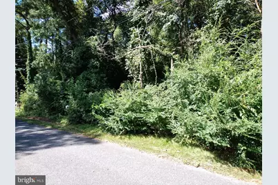 144 Allen Avenue, Laurel, DE 19956 - Photo 3