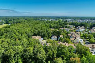 22096 S Preservation Dr, Millsboro, DE 19966 - Photo 87