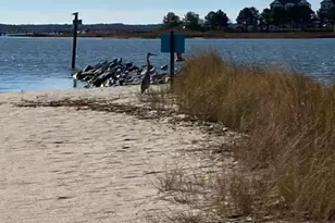 26356 Pine Cone Dr, Millsboro, DE 19966 - Photo 47