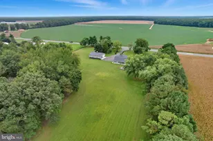 10463 Beach Hwy, Greenwood, DE 19950 - Photo 57