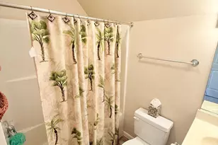 36995 Serenity Drive, Selbyville, DE 19975 - Photo 59
