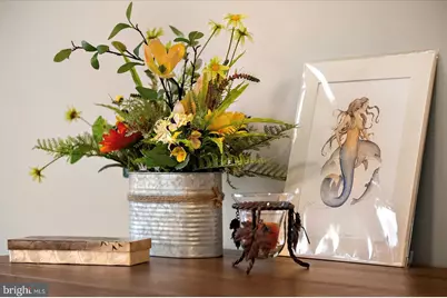 11271 Hall Road, Lewes, DE 19958 - Photo 53