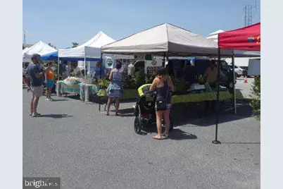 35721 Privy Lane, Frankford, DE 19945 - Photo 13