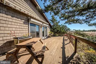 106 Florida Ave, Milton, DE 19968 - Photo 47