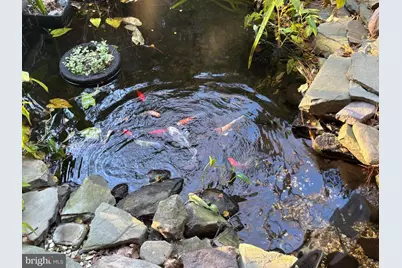 106 Florida Avenue, Milton, DE 19968 - Photo 17