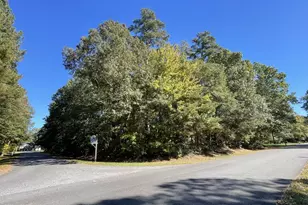 9 Evergreen Dr, Georgetown, DE 19947 - Photo 1