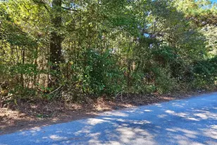 Lot 6 Thelma Ct, Greenwood, DE 19950 - Photo 3