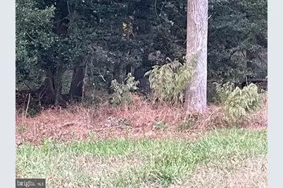 0 Rt 54, Selbyville, DE 19975 - Photo 5