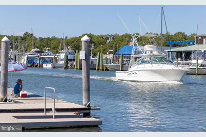 29730 Vincent Village Drive, Milton, DE 19968 - Photo 77