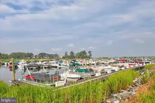 34749 Timber Ct, Dagsboro, DE 19939 - Photo 55