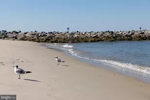 24160 Port Ln, Lewes, DE 19958 - Photo 57