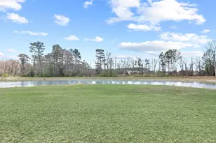 26300 Tributary Blvd, Millsboro, DE 19966 - Photo 51
