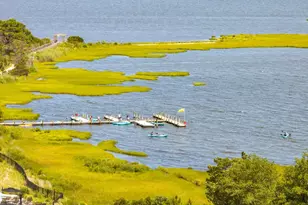 20531 Cattail Crk Ln, Selbyville, DE 19975 - Photo 143