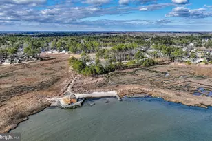 23280 Horse Island Rd, Lewes, DE 19958 - Photo 67